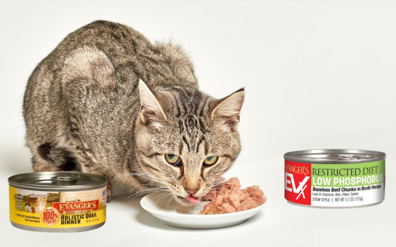 How to Read Labels of Pet Food