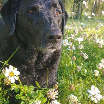 bonnie taking time to smell the flowers