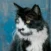 Black and white cat with long white whiskers and yellow eyes looking to the side, against a blue background.