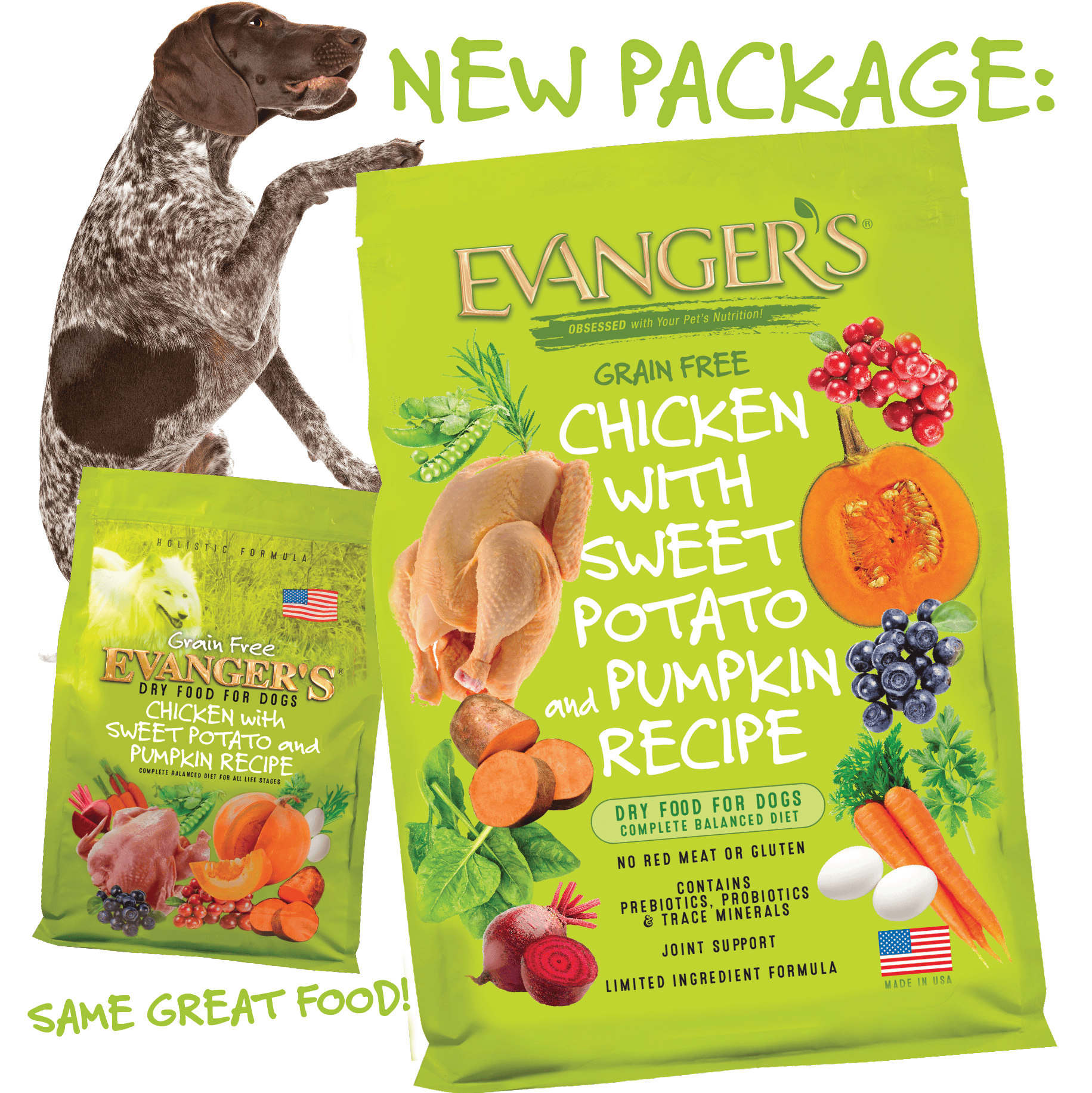 Grain Free Chicken with Sweet Potato & Pumpkin - Image 9