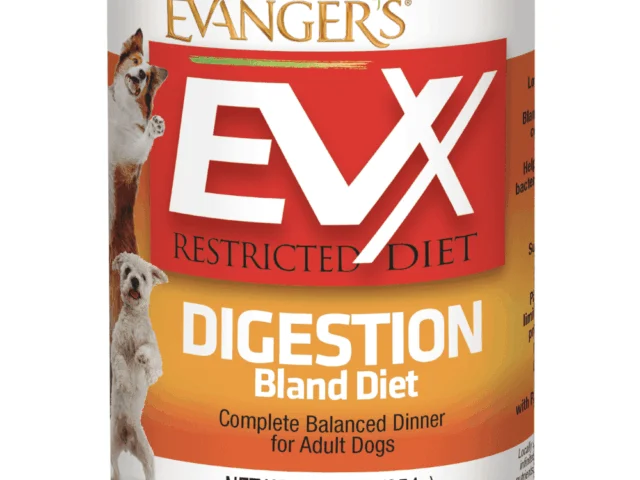 A can of Evanger's EVX Restricted Diet Digestion Bland Diet dog food, 12.5 oz, labeled for adult dogs.