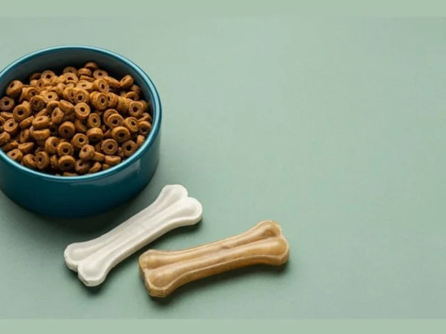 A blue bowl filled with round dog kibble sits next to two bone-shaped dog chews, one white and one beige, on a green surface.