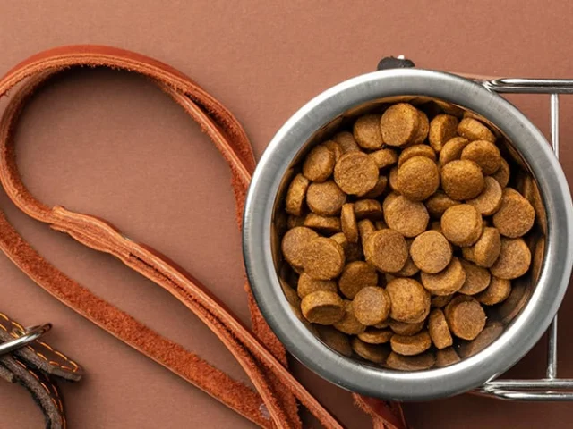 A metal bowl filled with dry dog food next to a brown leather leash on a brown surface.