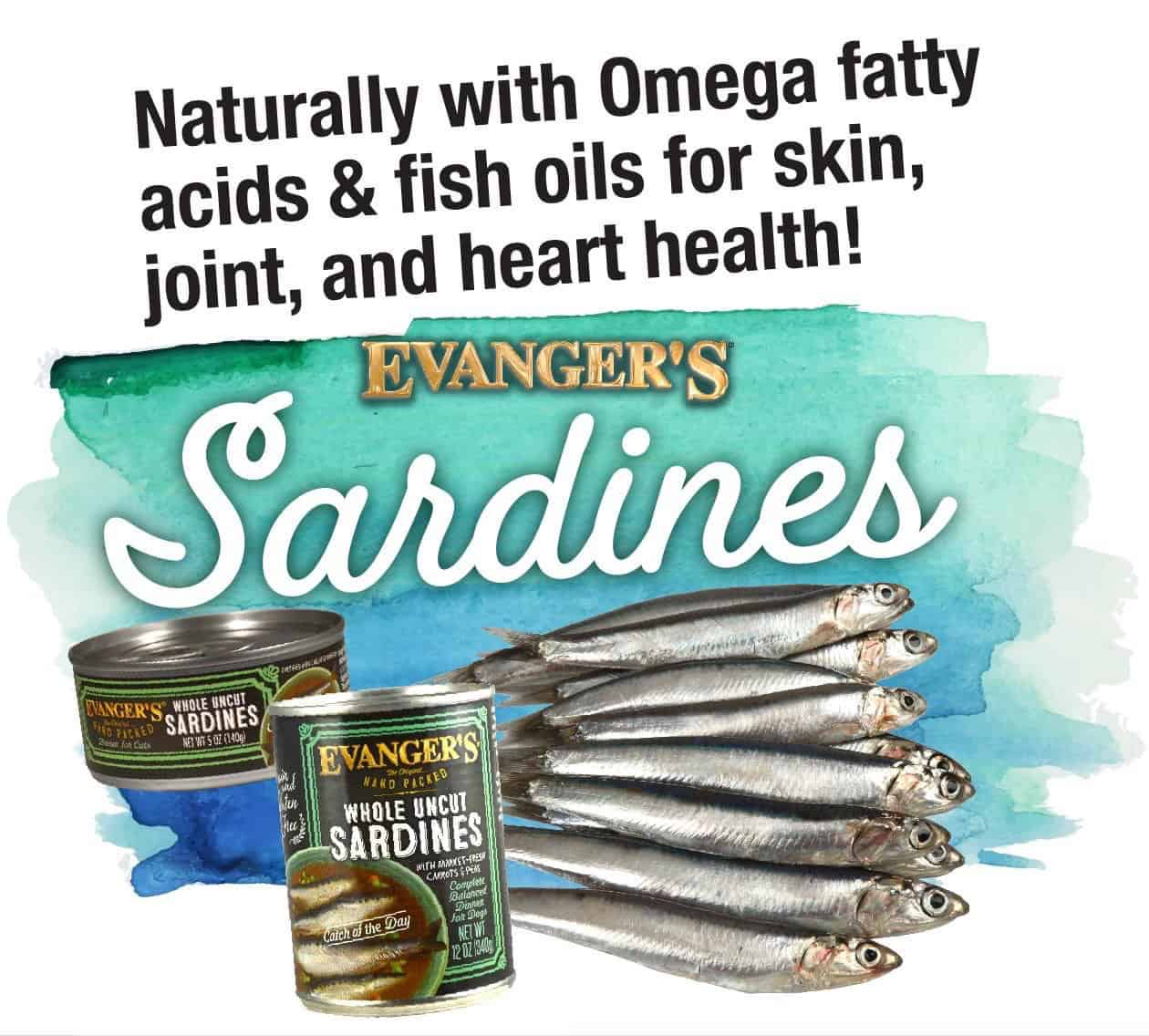 Whole Uncut Sardines - Packed by Hand! - Image 2