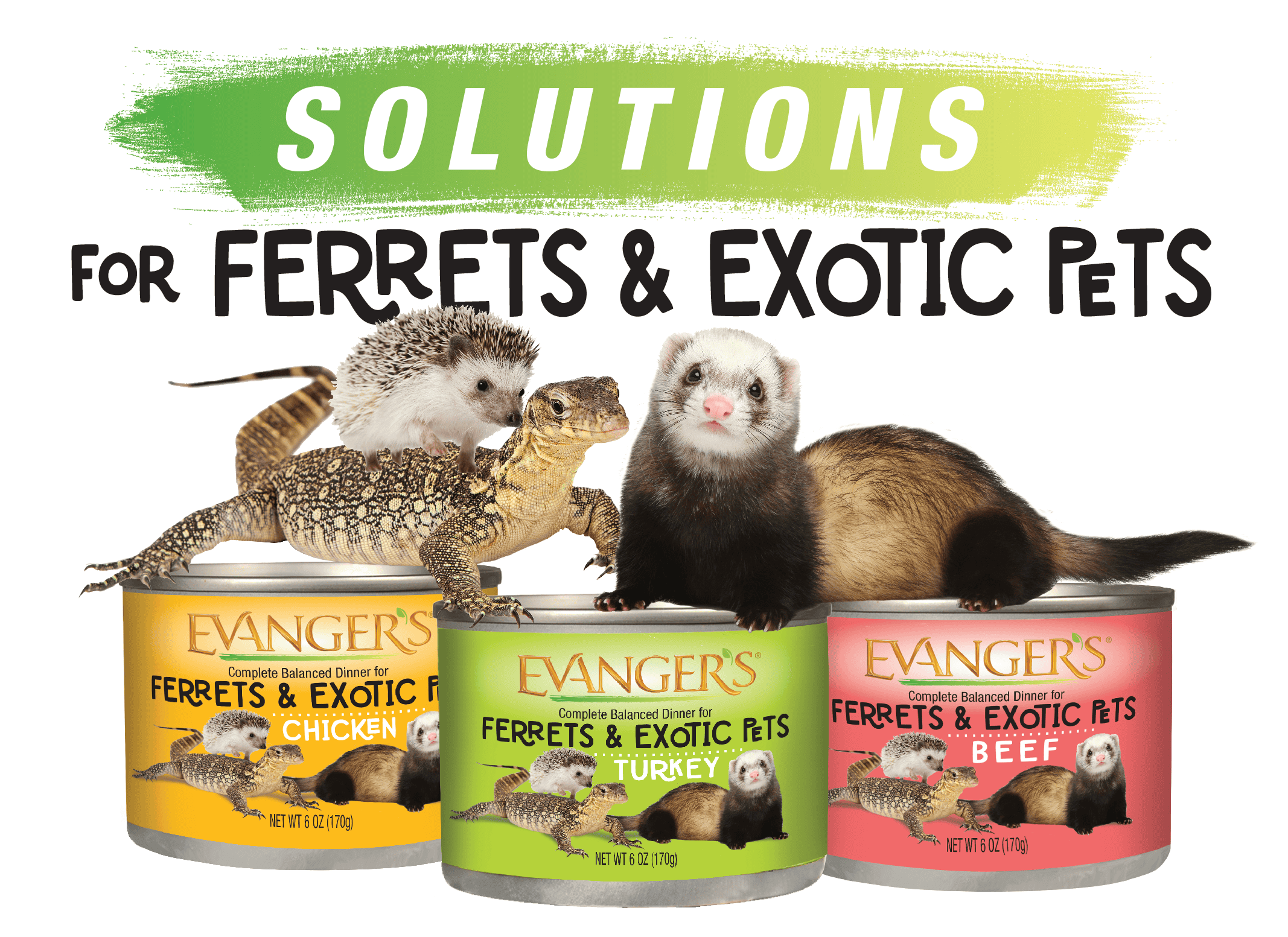 Chicken Dinner for Ferrets & Exotic Pets - Image 4