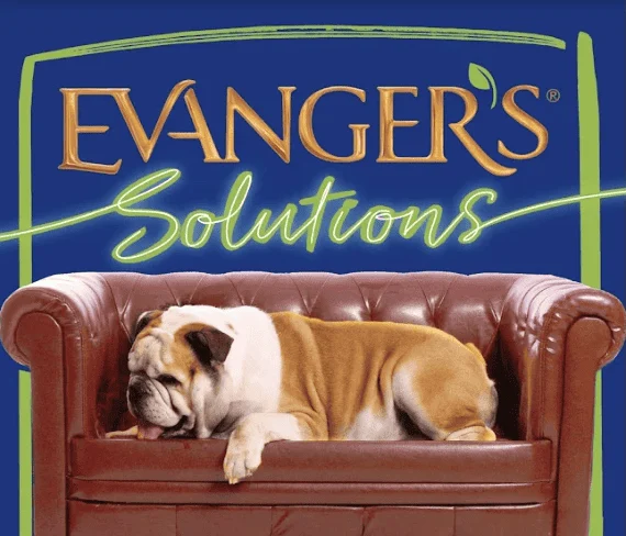 A bulldog lies on a brown leather couch in front of a blue background with the text "Evanger's Solutions" written above.