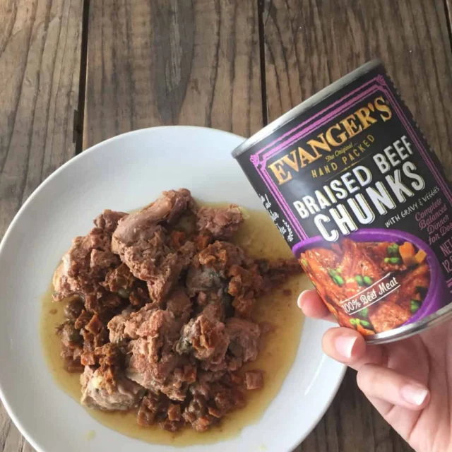 A hand holds a can of Evanger's Braised Beef Chunks above a plate with chunks of beef and gravy on a wooden table.