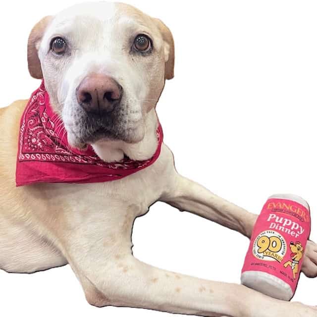 Evanger’s 90th Birthday Commemorative Plush Can Toy - Image 3