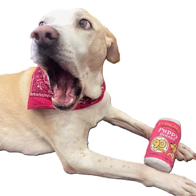 Evanger’s 90th Birthday Commemorative Plush Can Toy - Image 2