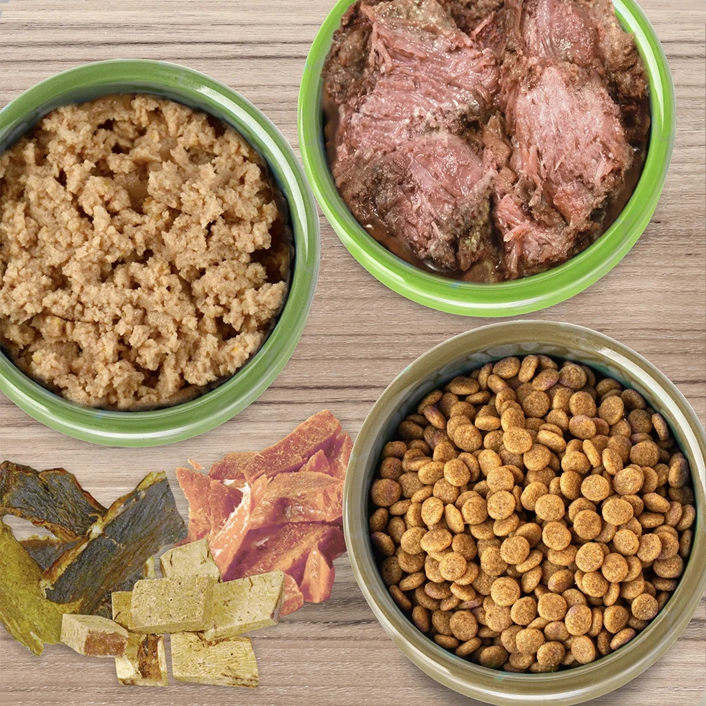 Three bowls on a wooden surface: one with dry kibble, one with shredded wet food, one with minced wet food, and a pile of assorted pet treats beside them.