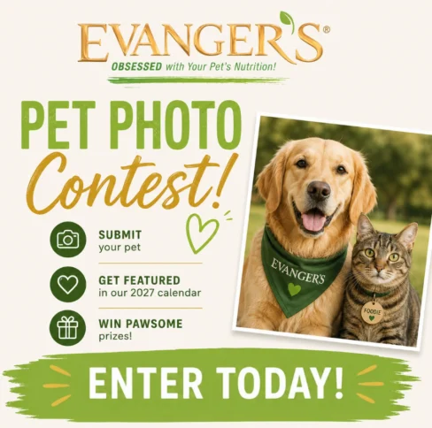 Pet photo contest details with an image of a dog and cat.