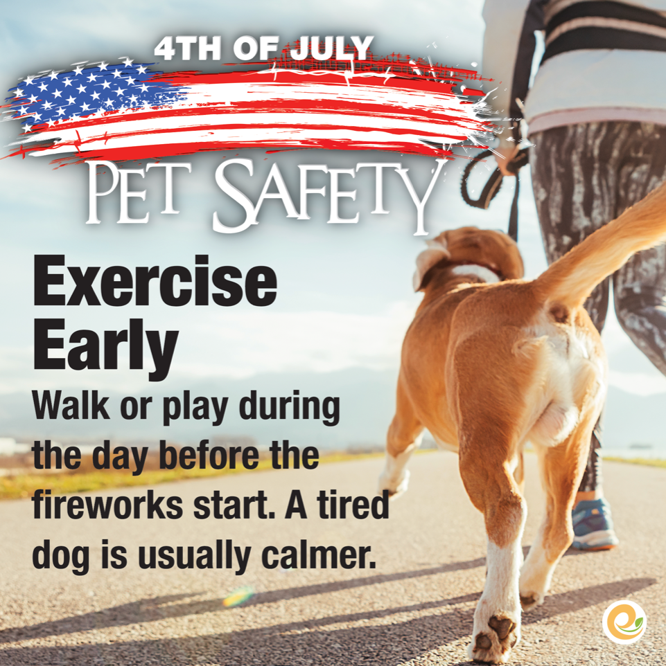Evanger's 4th of July Dog Safety Tips