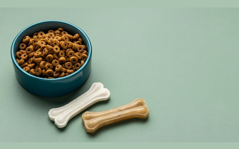 Where to Find Grain-Free Dog Food