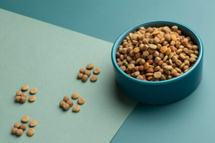 Where to Find Low Magnesium and Low Phosphorus Cat Food
