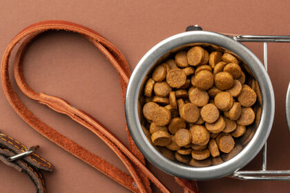 Where to Find Nutritious Pet Food