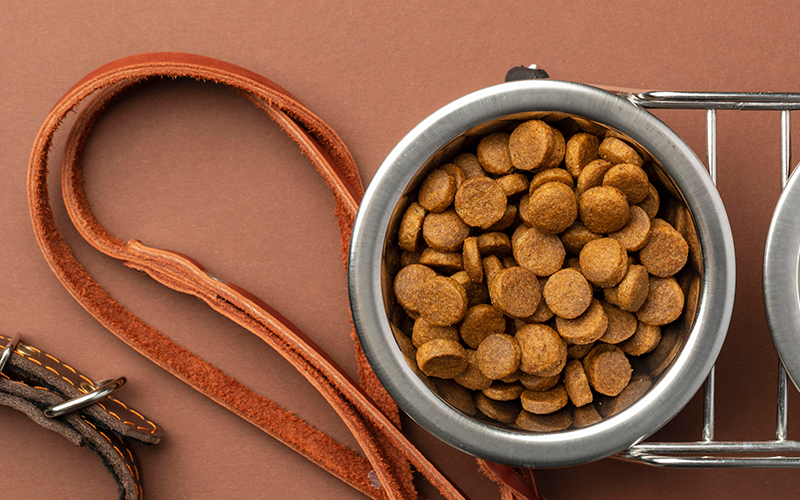 Where to Find Nutritious Pet Food