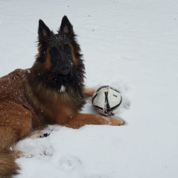 Cody Playing Soccer in the Snow