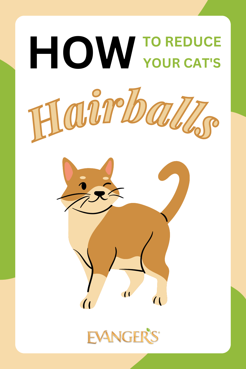 How to Reduce your Cat's Hairballs