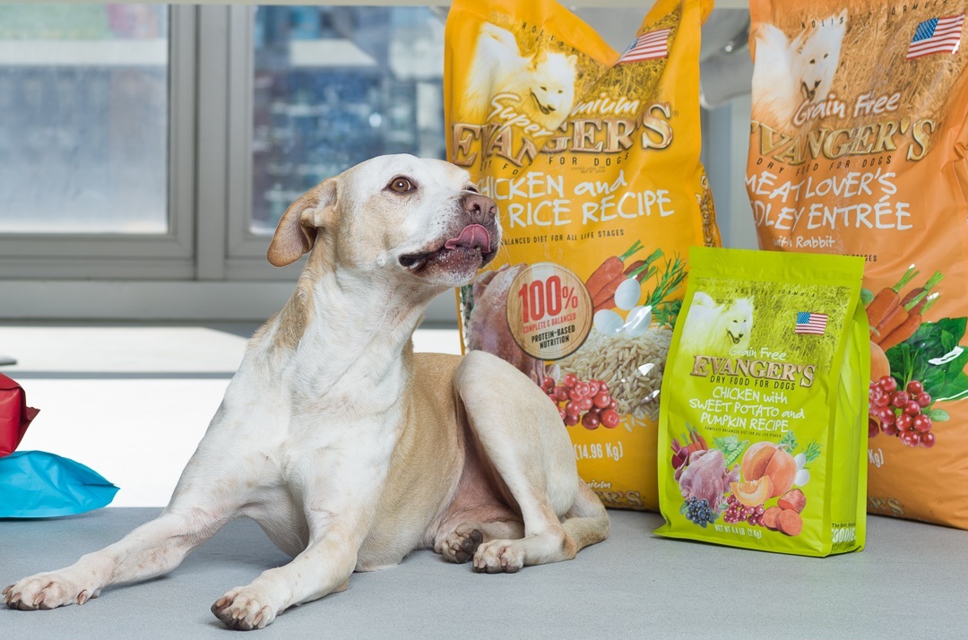 Alimento seco para perros de pollo con arroz integral –  lb. – Evanger's  Dog & Cat Food Company, Inc.