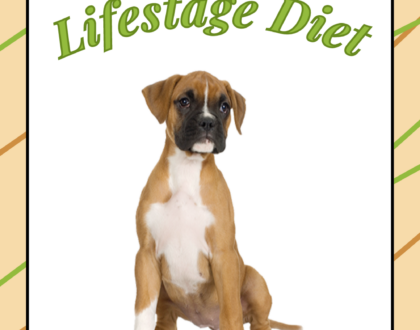How to Feed Your Dog a Lifestage Diet