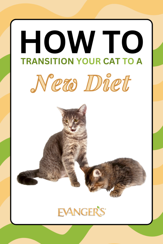 How to Transition Your Cat to a New Diet Evanger's Dog & Cat Food