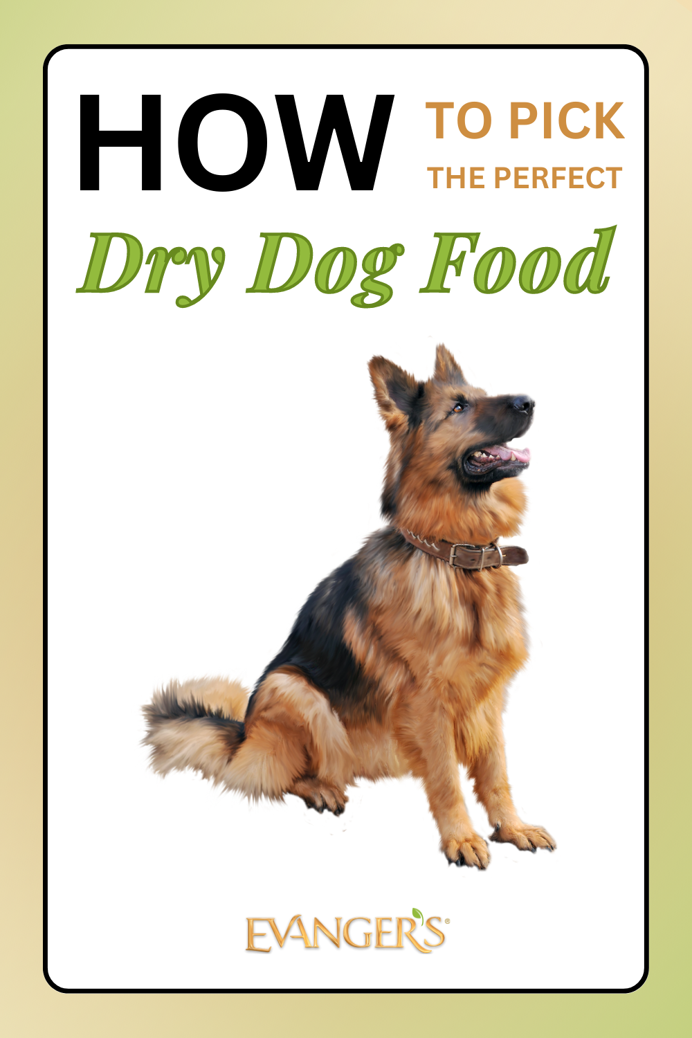How to Pick the Perfect Dry Food for Your Dog