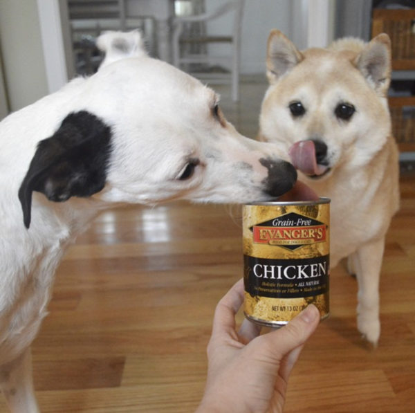 Evangers canned chicken topper for dogs