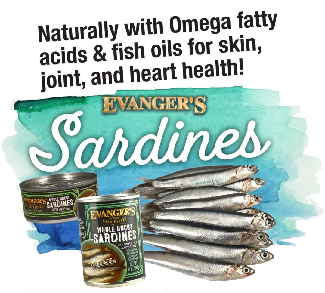 Hand Packed Catch of the Day Whole Sardines for Cats Case of 24
