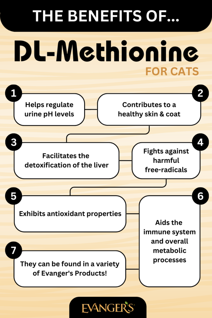 The Benefits of DL Methionine for Cats Evanger s Dog Cat Food