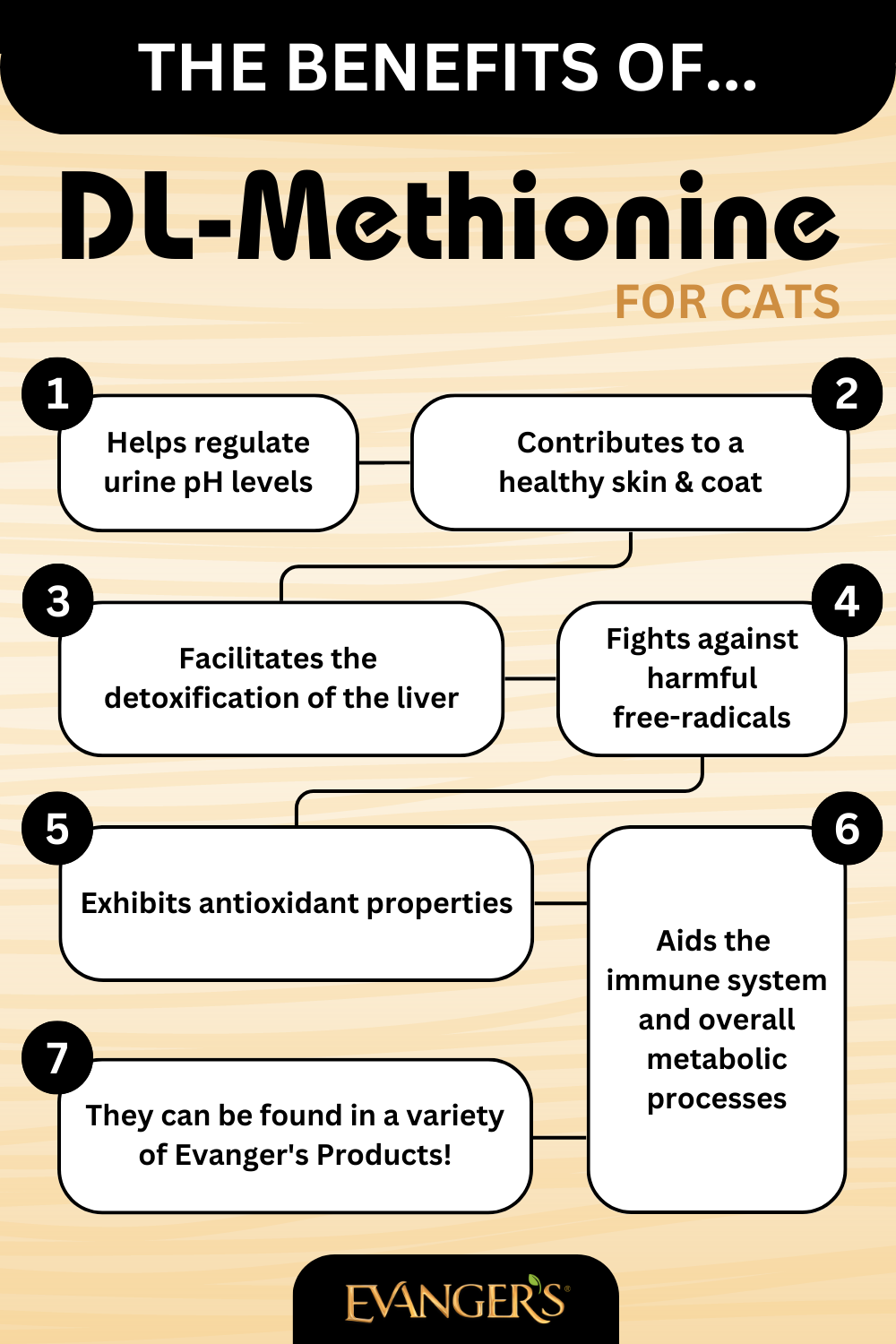 The Benefits of DL-Methionine for Cats
