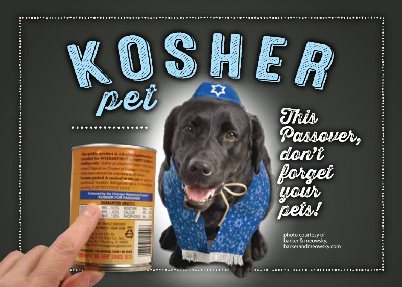 Getting ready for Passover with your Pets