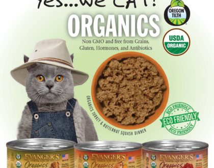 Evangers Organic Cat Food Top Rated