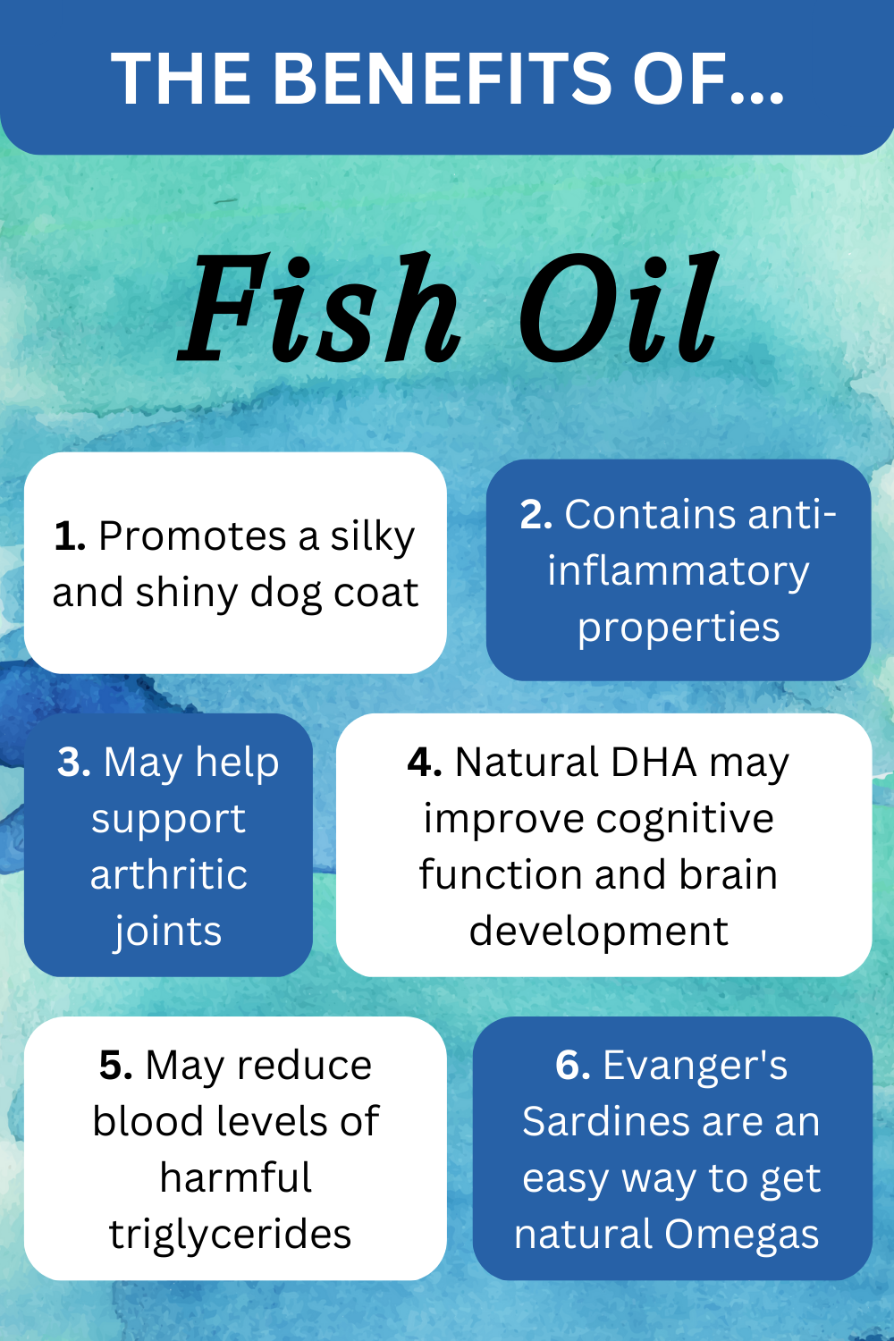 Evanger's Fish Friday: The Benefits of Fish Oil and Natural Omegas in Your Pet's Diet