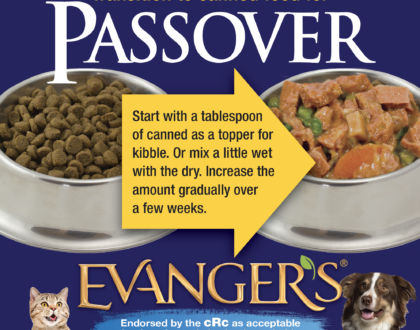 How to Prepare your Dog or Cat for Passover
