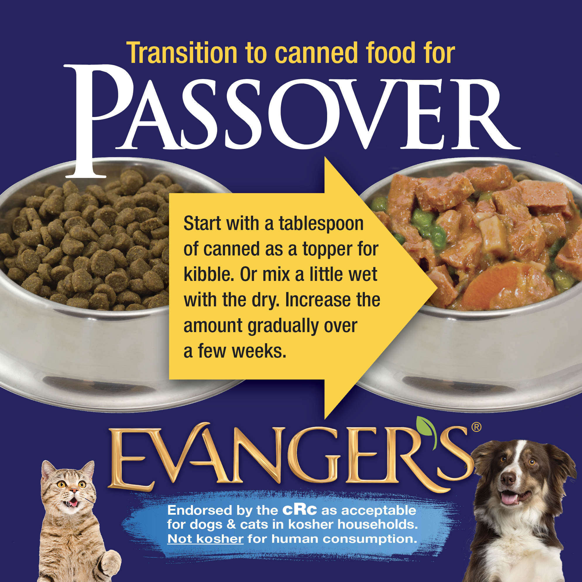How to Prepare your Dog or Cat for Passover