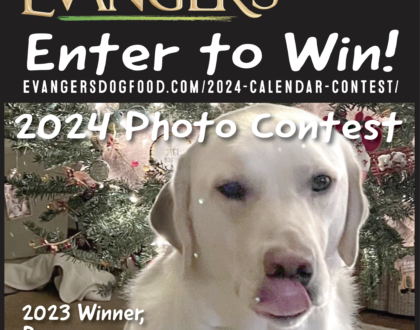 Evanger's 2024 Calendar Contest Submissions are now Open!
