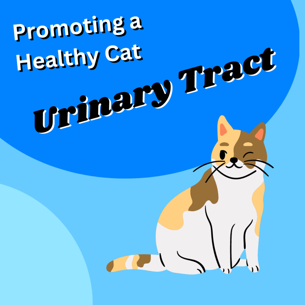 promoting-a-healthy-cat-urinary-tract-evanger-s-dog-cat-food-co-inc