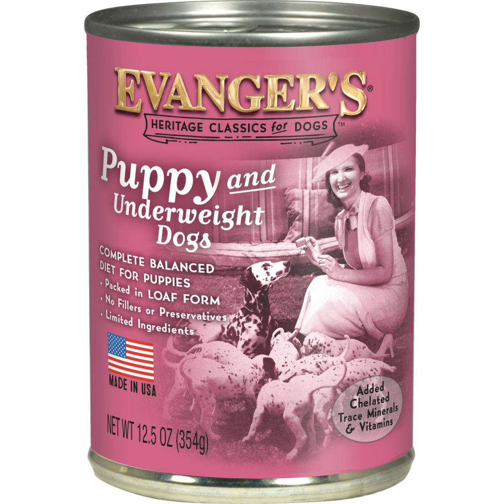 40+ Unique Dog Names – Evanger's Dog & Cat Food Company, Inc.