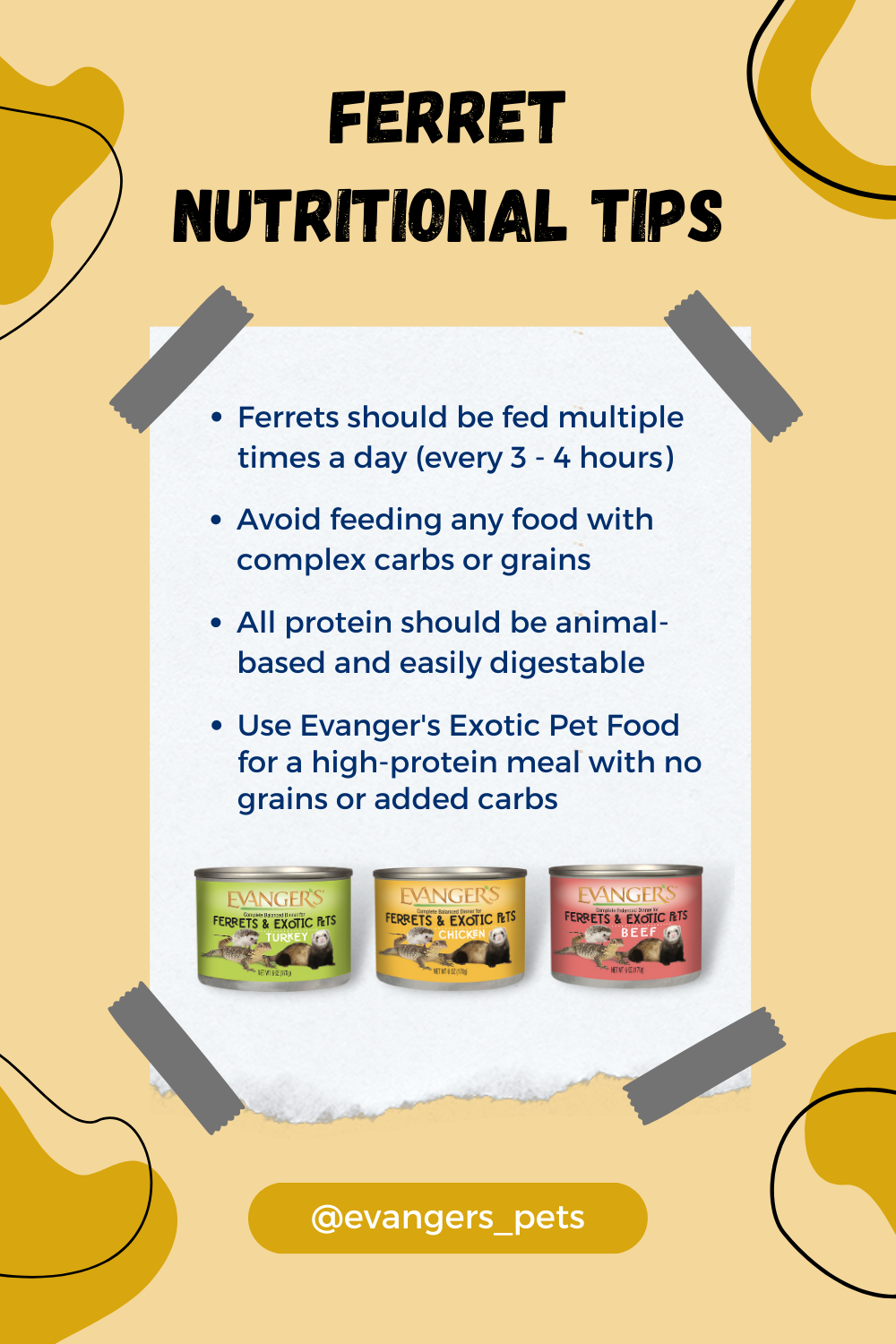 Evanger’s Nutritional Tips: Ferrets