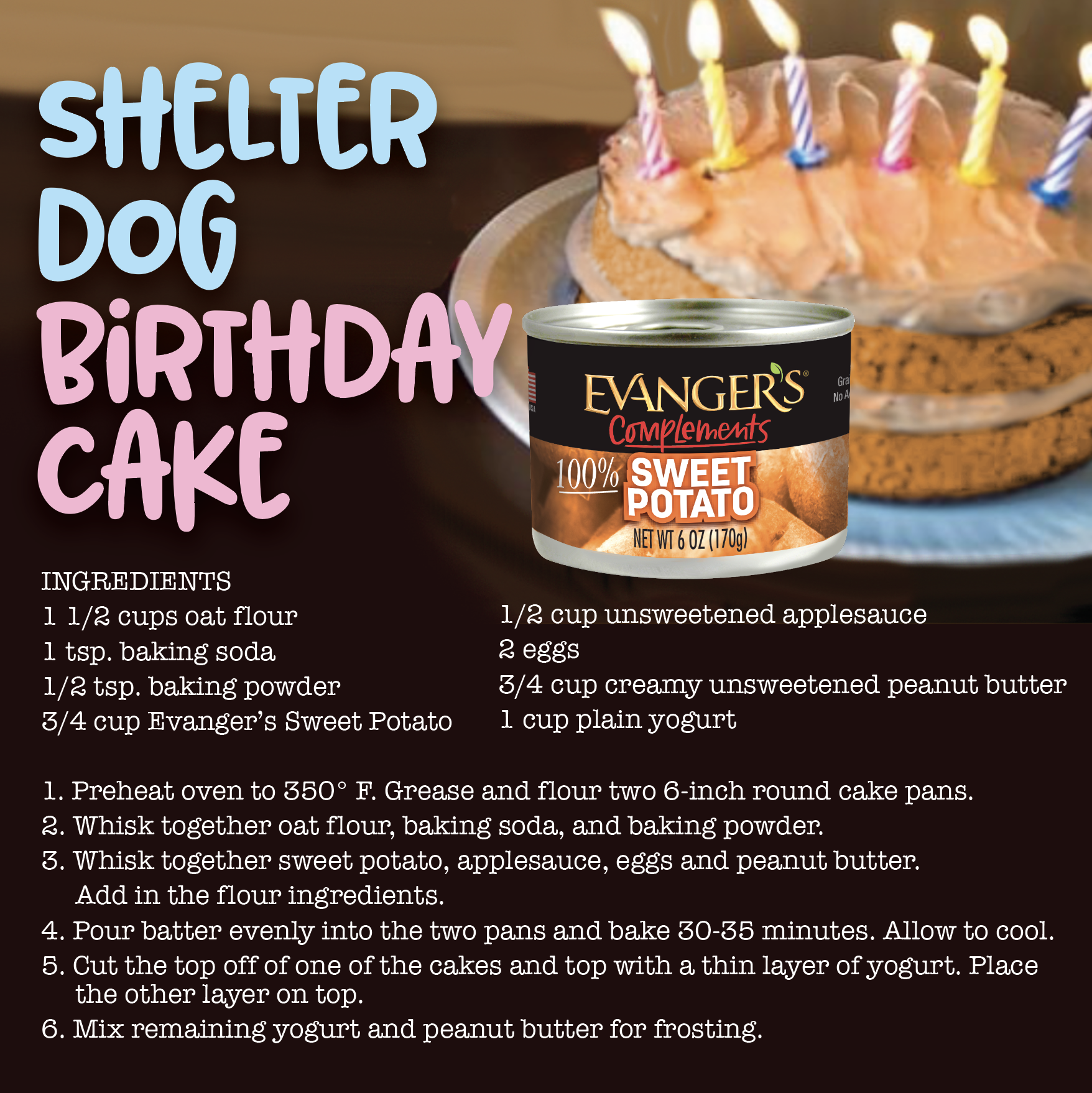 How to Make a Shelter Dog Birthday Cake!