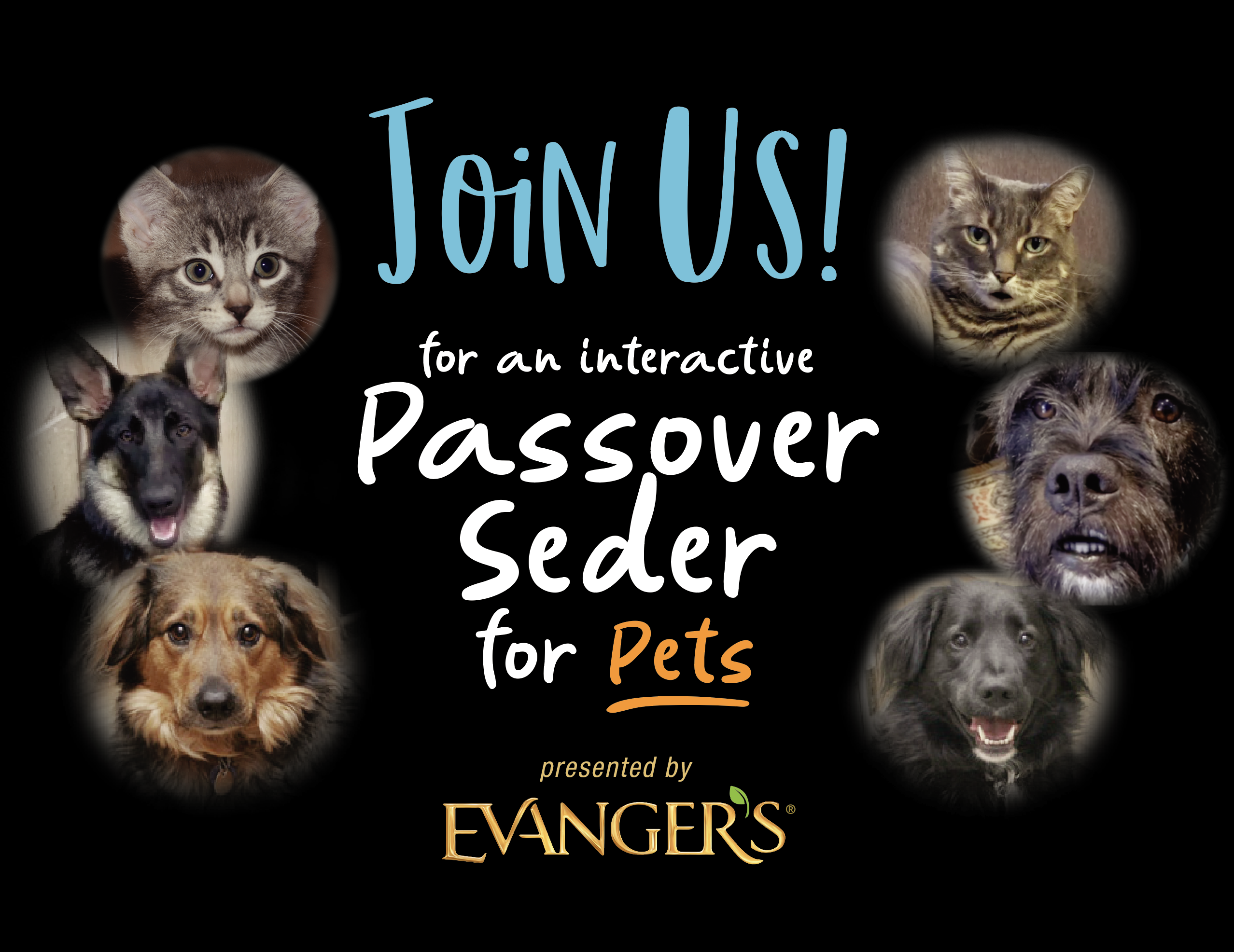 Evangers Global Passover Seder #EvangersPetPassover2020