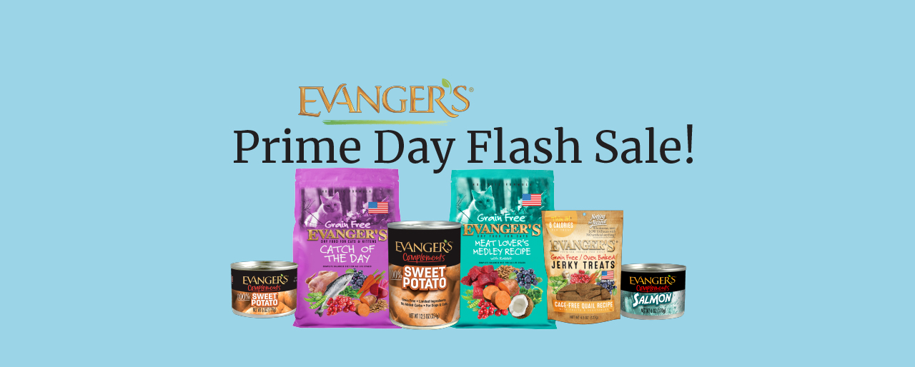 Evangers Prime Savings